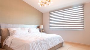 Render o imagen n&uacute;mero  7